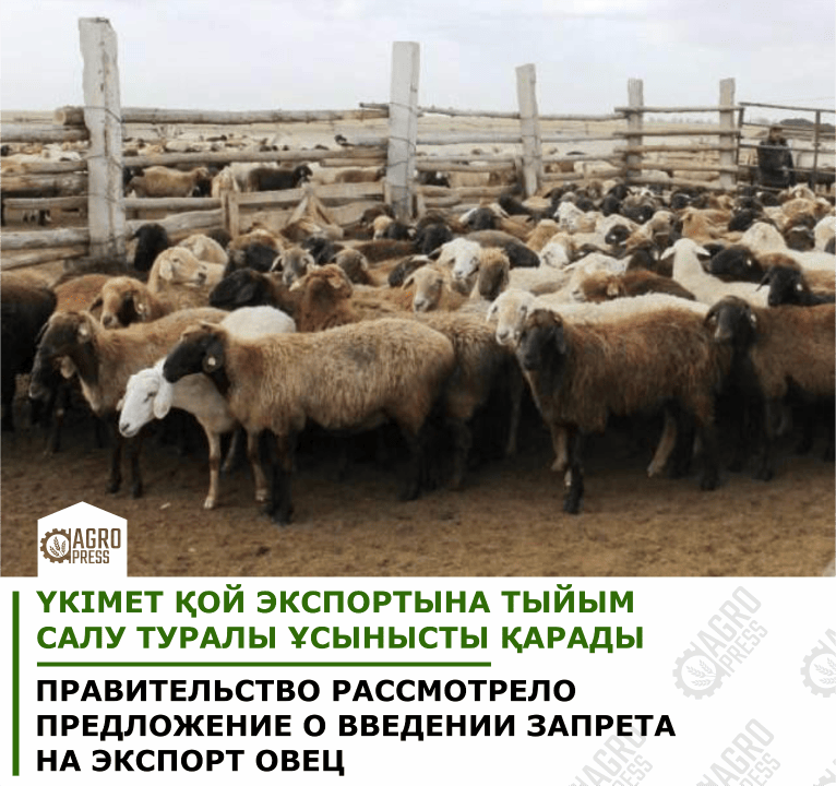 Фото: АШМ