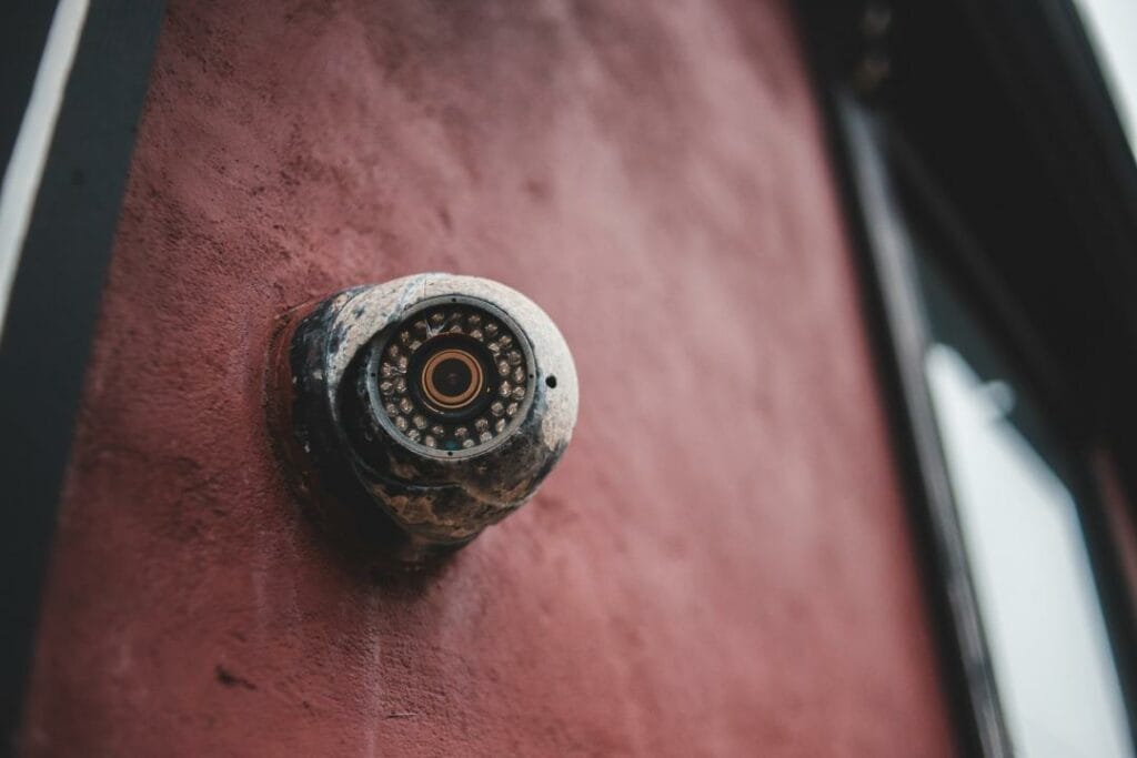 Фото: Erik Mclean: Pexels