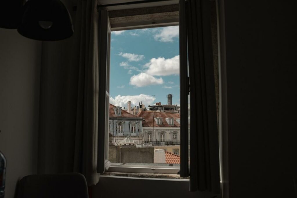 Фото: Emily Schoeme from Pixabay 
