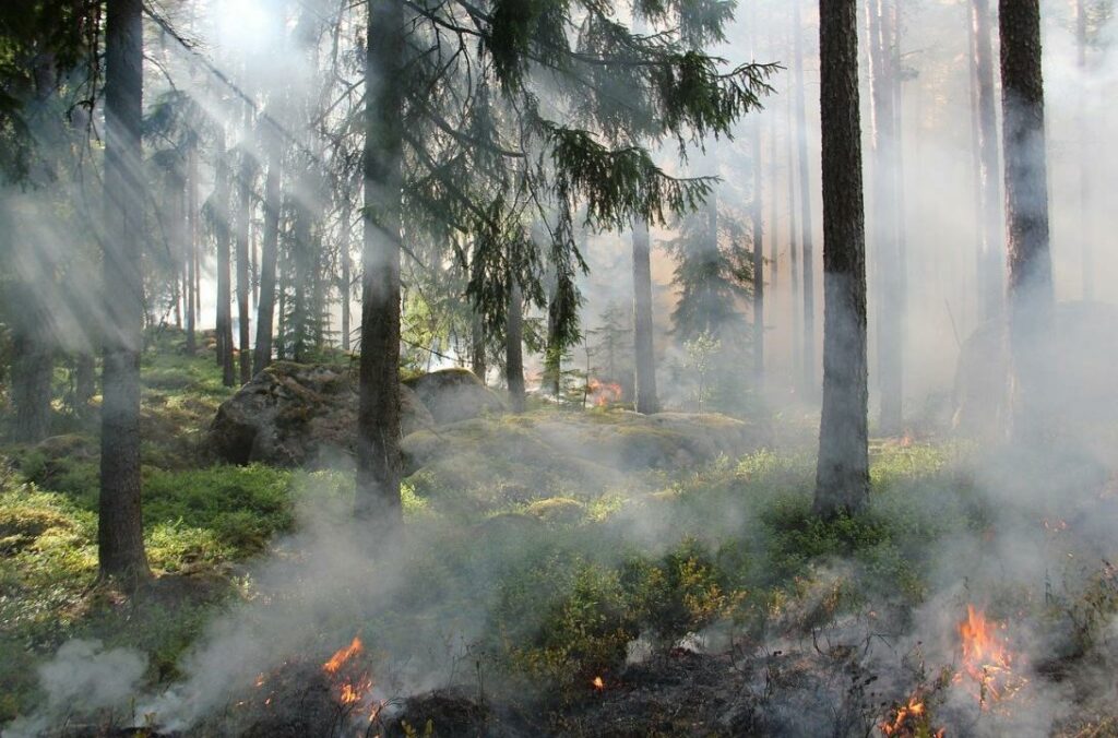 В Карагандинской области локализовали очаги крупных степных пожаров