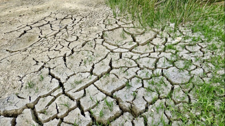 Арал ауданында қуаңшылыққа байланысты төтенше жағдай жарияланды