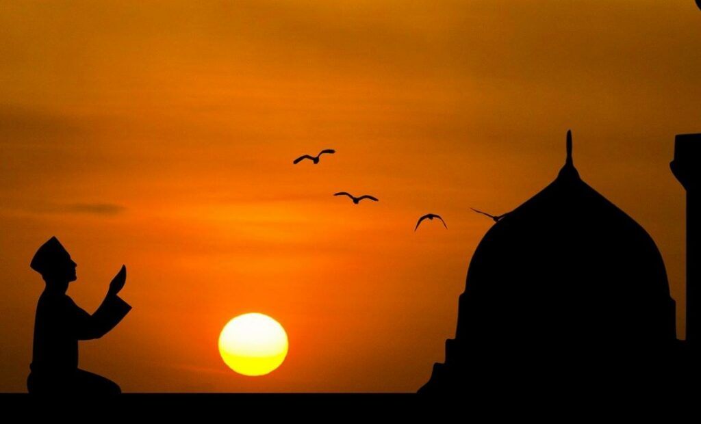 Фото: mohamed Hassan from Pixabay 