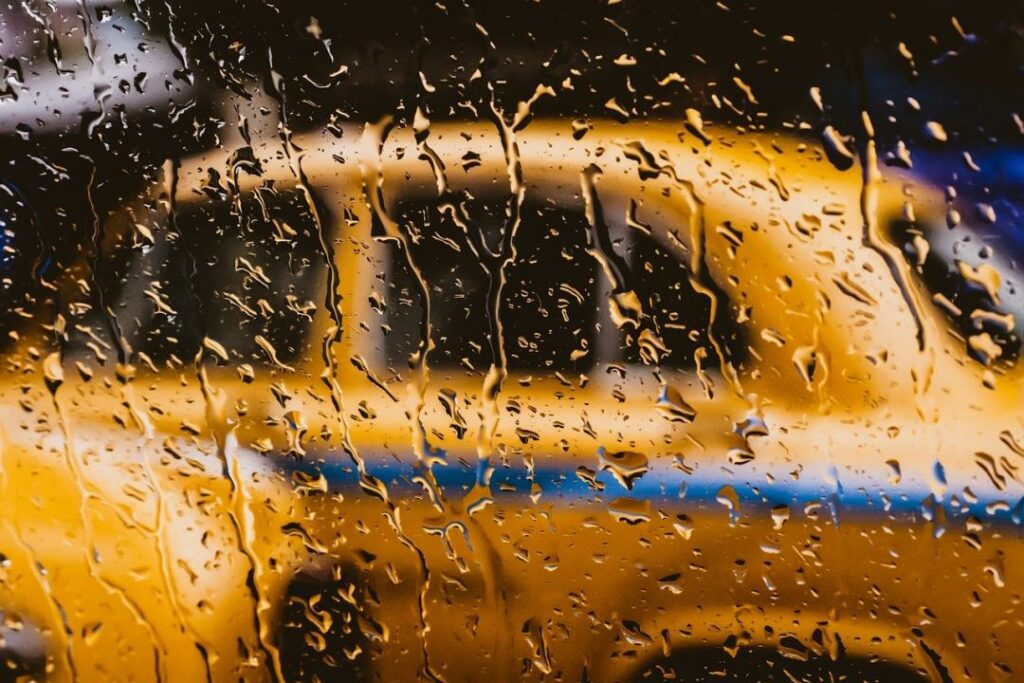 Фото: Pixabay