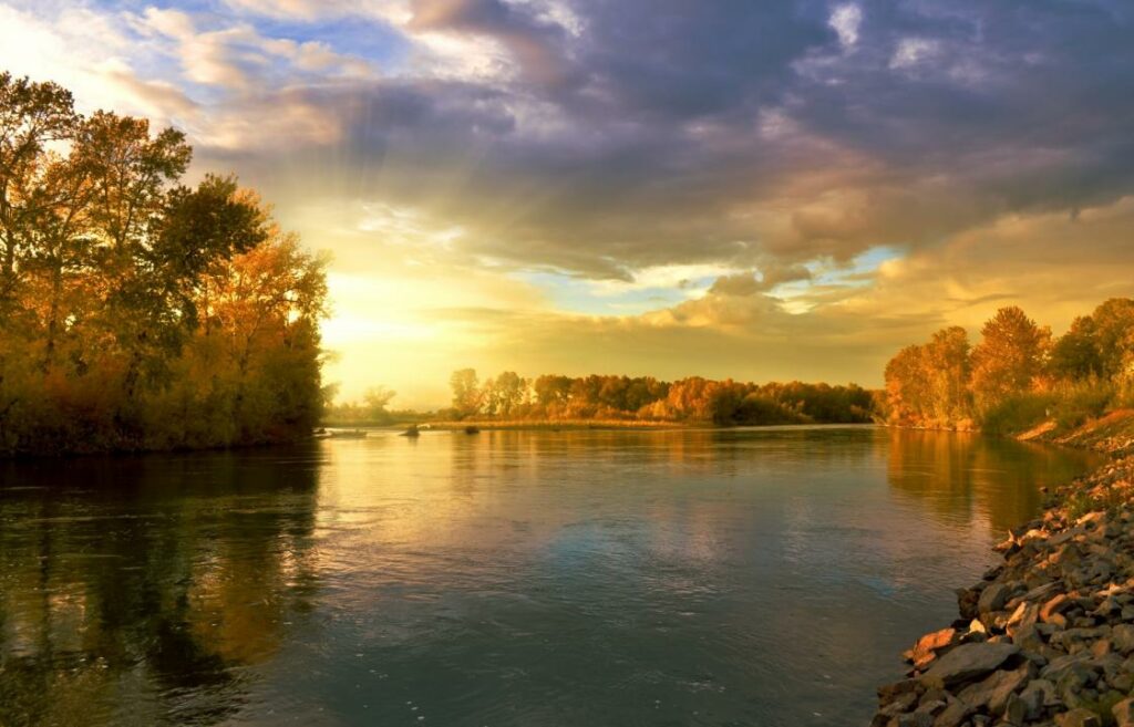 Фото: Pixabay