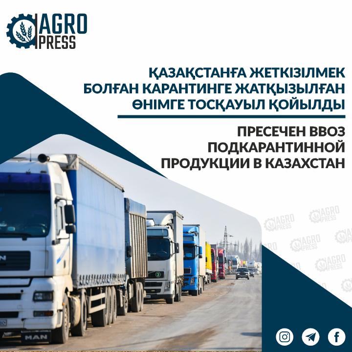 Қазақстанға жеткізілмек болған карантинге жатқызылған өнімге тосқауыл қойылды