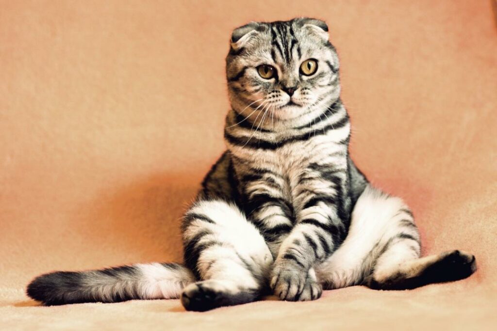 Фото: pixabay