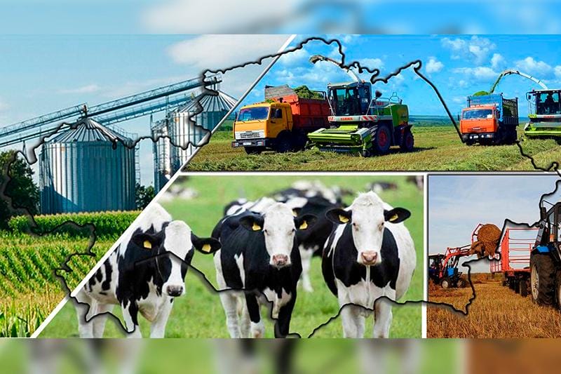 Үкімет АӨК дамытудың 2021-2025 жылдарға арналған ұлттық жобасын бекітті