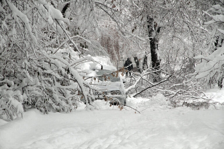 Алматыға 17 см қар жауды