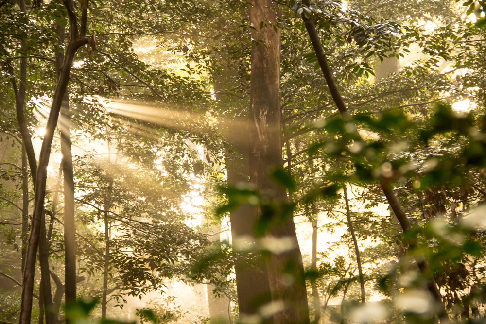 В 2017 году в экологическую безопасность РК вложено 32,5 млрд тенге