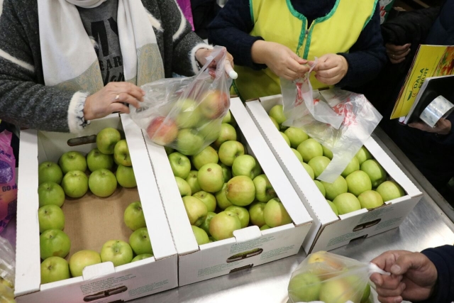 Предприниматели из ЮКО намерены выращивать яблоки в Атырауской области