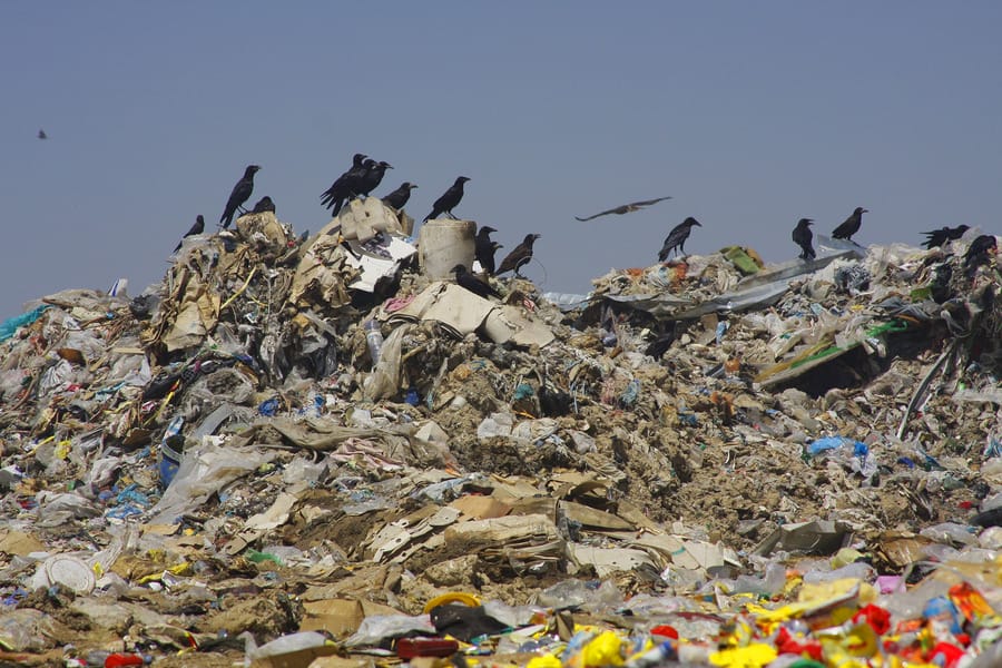 В Алматы заработает мусоросортировочный завод