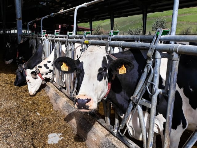 В Казахстане растет число роботизированных ферм