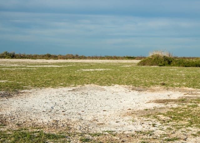 Мажилис рассмотрит законопроект о предоставлении иностранцам земли в аренду