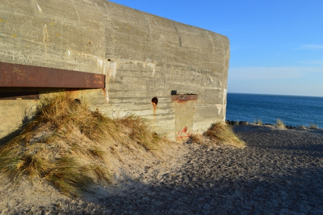 На озере Камыстыбас могут создать современный научно-туристический центр