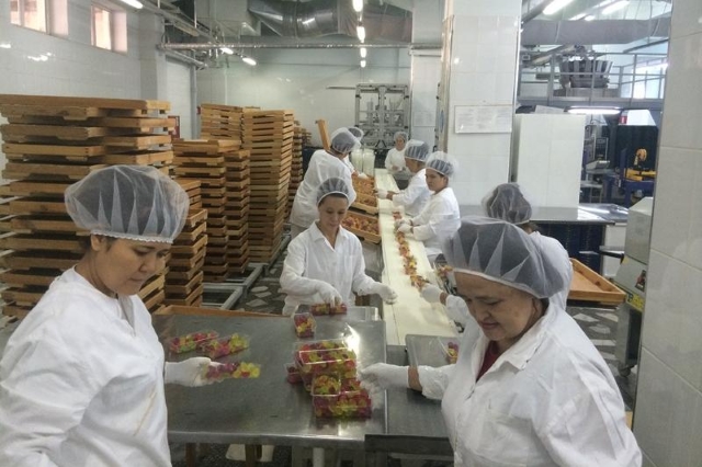 В 2017 году фабрика «Рахат» увеличила чистую прибыль по МСФО на 35%