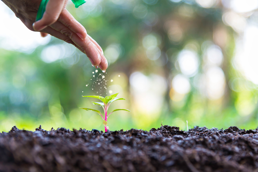 Инвестиции в охрану окружающей среды Казахстана упали более чем в 2 раза