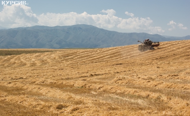 375 тысяч тонн удешевленного дизтоплива поставят аграриям на посевную кампанию