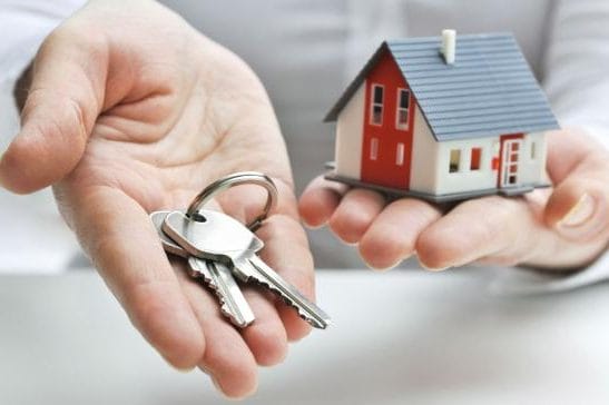 Сенаторы указали на низкую загруженность домостроительных комбинатов