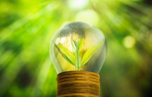 Какая госпомощь будет оказана инвесторам, развивающим ВИЭ в стране?