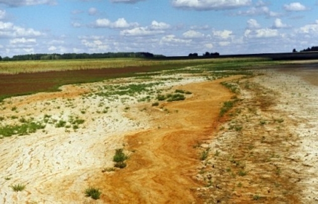 В Кызылординской области запустили «зеленый» проект оазисного орошения стоимостью 800 тысяч евро