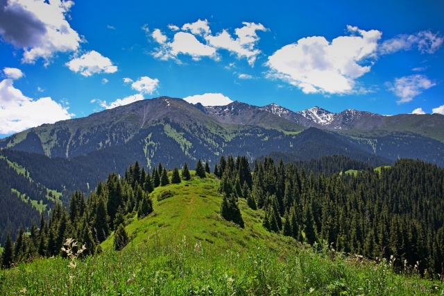 Нурсултан Назарбаев назвал перспективные виды туризма между РК и КНР