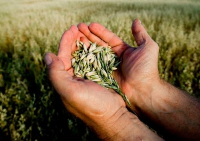 Фермеры получили около 9 млрд тенге субсидий через электронную систему qoldau.kz