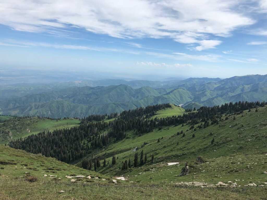 Частную землю в урочище Кок-Жайлау отдадут государству