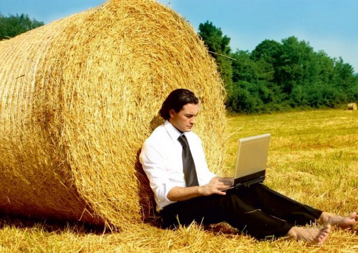 МСХ РК начали работу над разъяснением о сельхозкооперациях