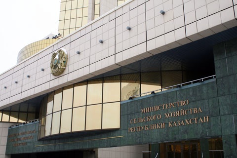 71,5 тонн карантинной продукции вернули в Кыргызстан