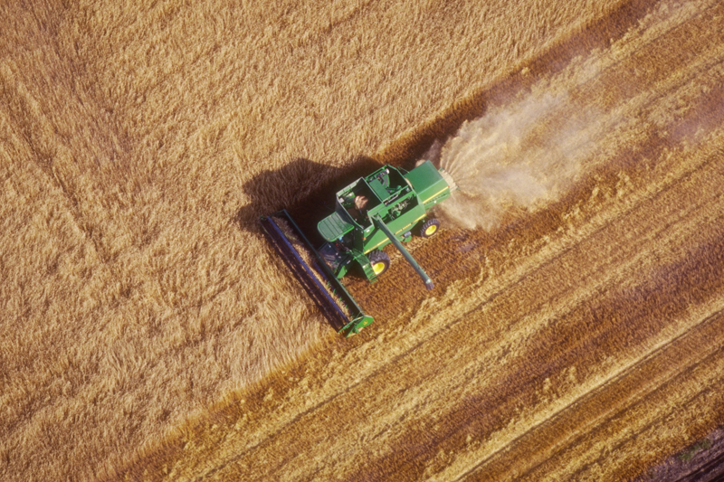 В «Казэкспортастык» в ближайшее время может зайти крупный российский инвестор