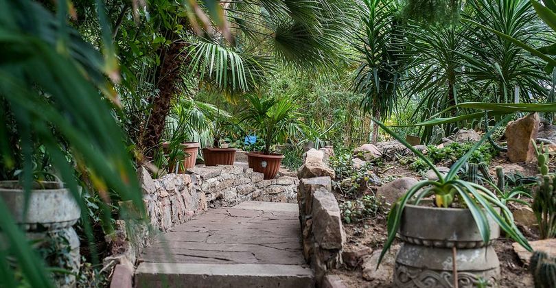 В Петропавловске продают ботанический сад, которому 114 лет