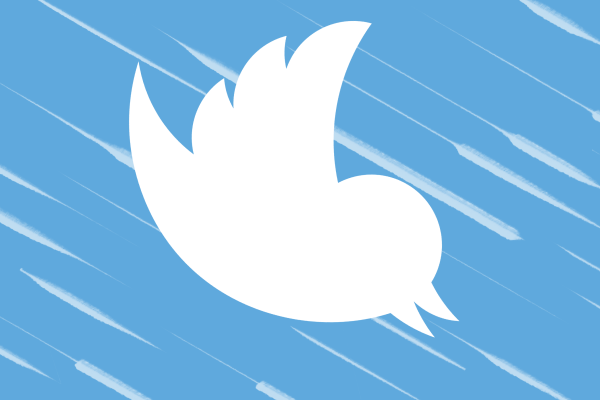 За последний год капитализация Twitter снизилась на 17%