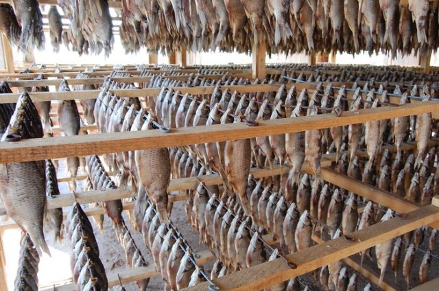 ИФК продал рыбоперерабатывающий завод в в Алматинской области