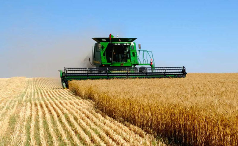 Бакытжан Сагинтаев поручил увеличить объемы производства сельхозпродукции