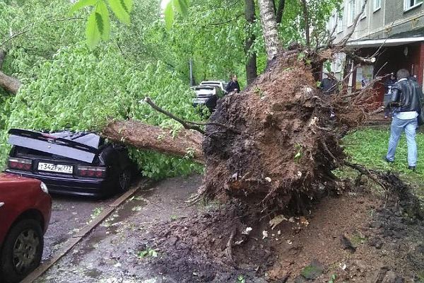 Количество погибших в результате урагана в Москве возросло до 16