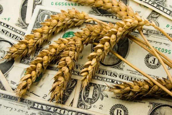 «КазАгро» отчитался об освоении средств республиканского бюджета