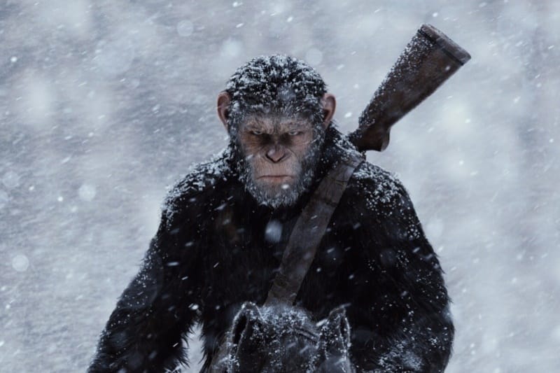 Жребий брошен