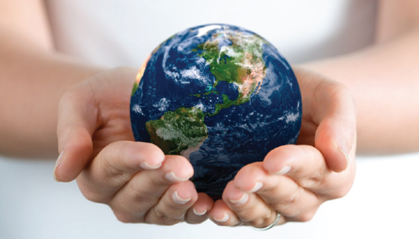 В МЭ рассказали, как улучшают состояние окружающей среды в РК