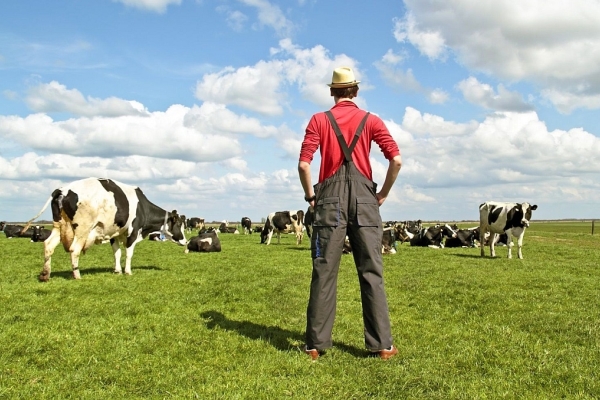 Мелкие фермеры испытывают трудности с доступом к рынкам