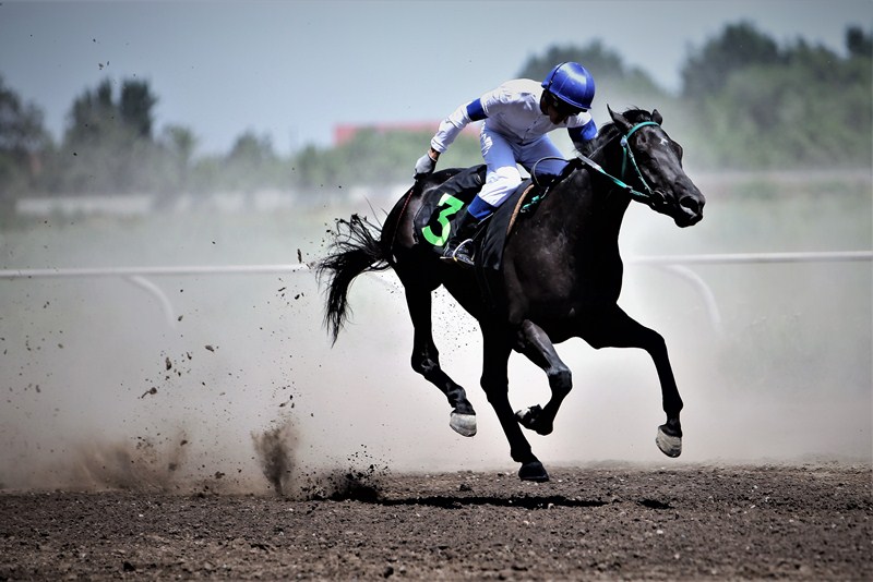 Где провести выходные в Алматы и Астане (4-6 августа)