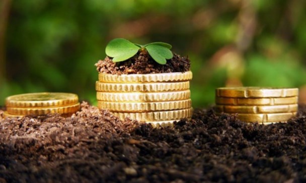 В 2017 году создано 517 кооперативов с охватом более 53,5 тысяч ЛПХ