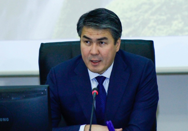 Во время ЭКСПО в Астане открылись 47 ресторанов и 36 гостиниц