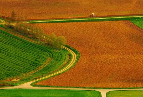 Более 63 тыс. га сельхозземель в ЮКО возвращены государству