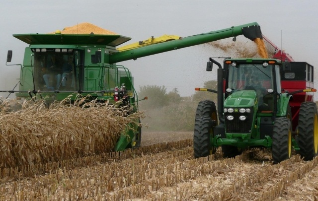 МСХ РК: в Казахстане намолочено 21,74 млн тонн зерна