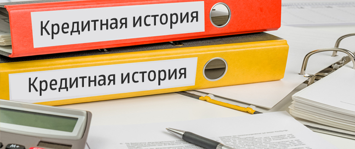 С начала года выдано 272 тыс кредитных историй