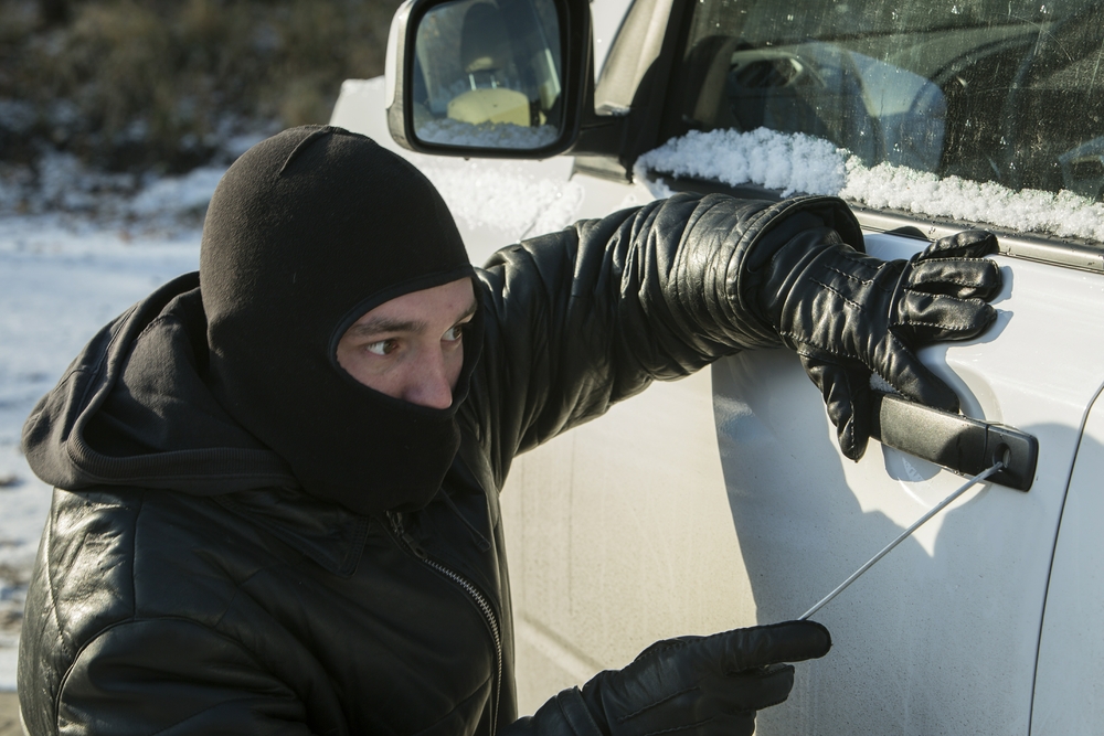 Мажилис одобрил ратификацию соглашения СНГ о возврате похищенных автомобилей