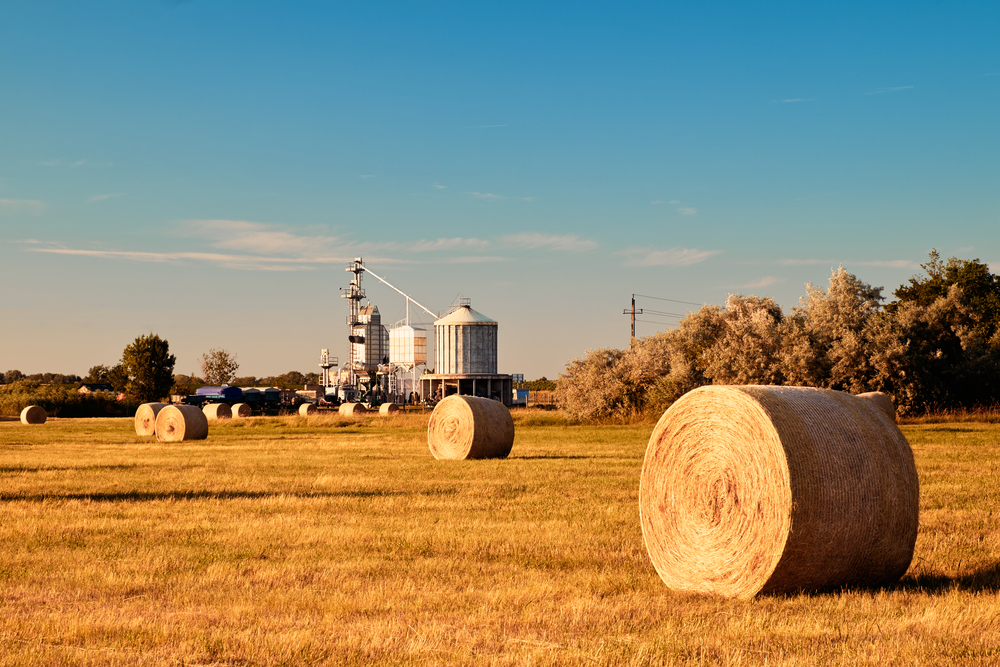 Акмолинская область активно развивает промышленность
