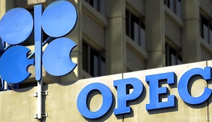 За 6 месяцев добыча нефти ОПЕК снизилась до минимума