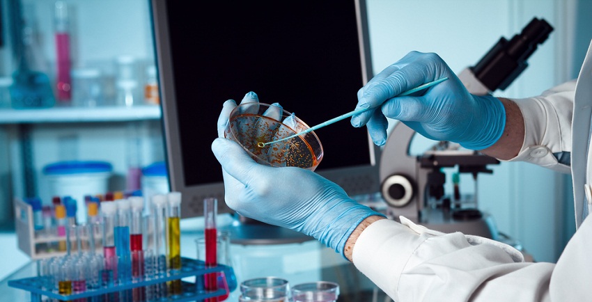 Фармацевтическая отрасль РК демонстрирует рост