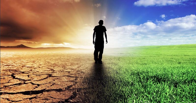 Предприниматели предлагают реформировать экологический кодекс